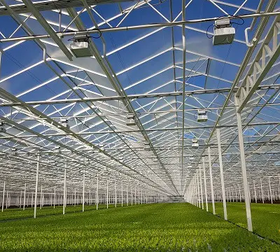 Greenhouse-400-wide-plessey