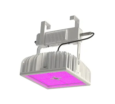 Hyperion-600-wide-plessey