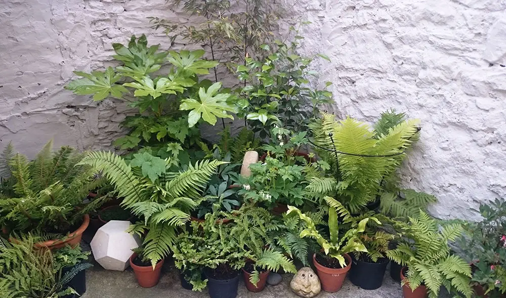 court-2-nationaltrust