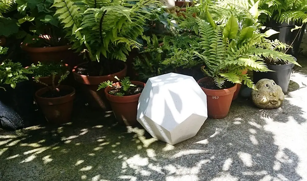 dodec-court-nationaltrust